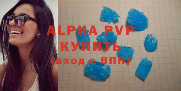 СК Надым