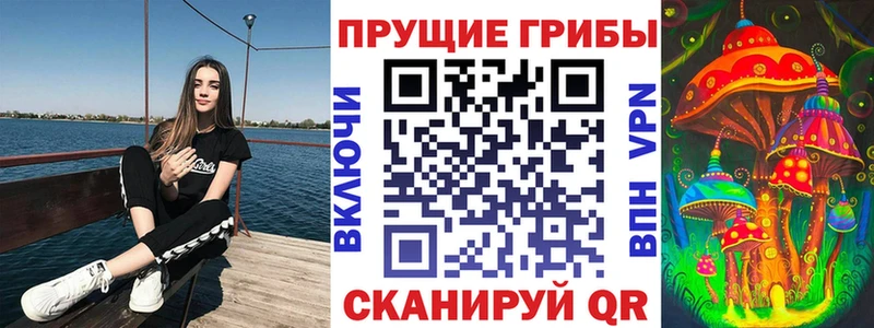 omg ссылка  где купить наркоту  Барыш  Псилоцибиновые грибы прущие грибы 